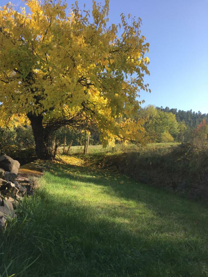 Le Chatel En Beaujolais Valsonne Exterior photo