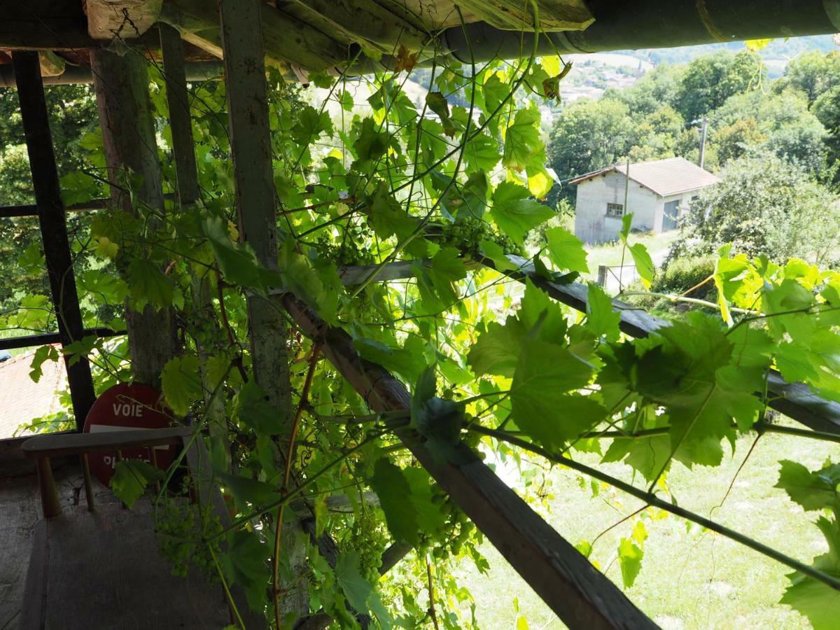 Le Chatel En Beaujolais Valsonne Exterior photo